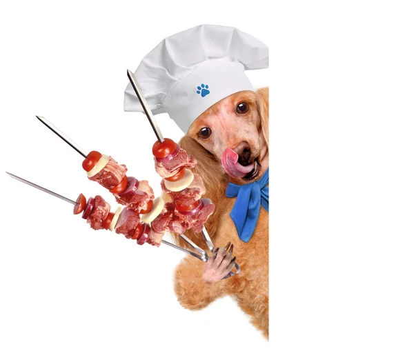 Hond chef-kok — Stockfoto