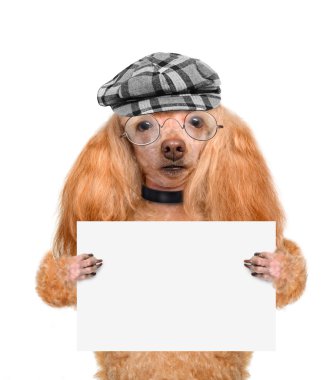 boş bir afiş tutarak köpek