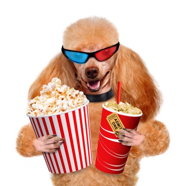 köpek film izleme.