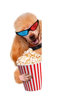 köpek film izleme.