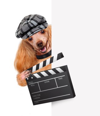 Film clapper kurulu Direktörü köpek.