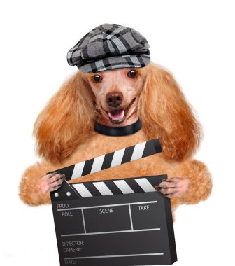 Film clapper kurulu Direktörü köpek.
