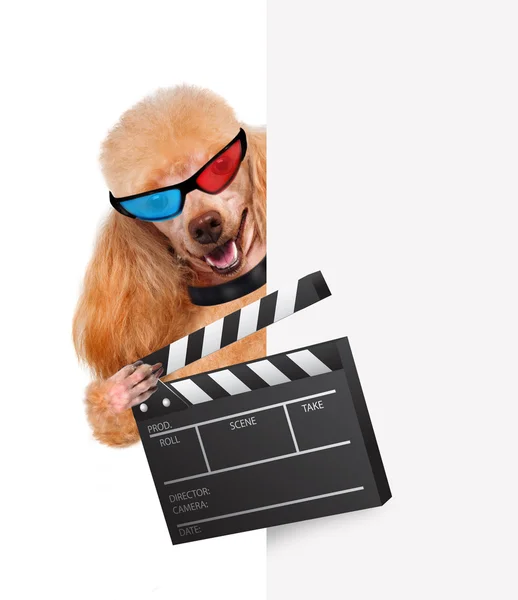 चित्रपट clapper बोर्ड संचालक कुत्रा . — स्टॉक फोटो, इमेज