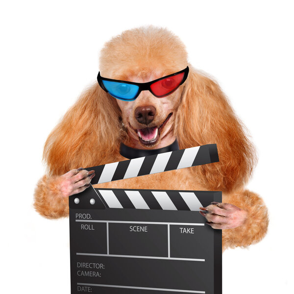 Movie clapper board director dog.