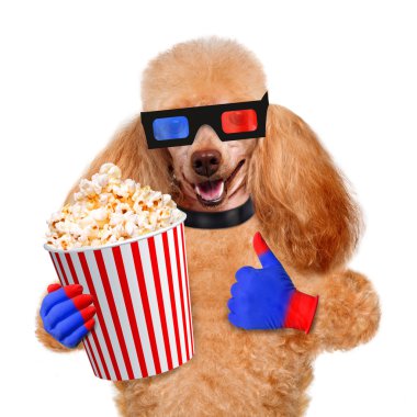 köpek film izleme