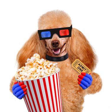 köpek film izleme