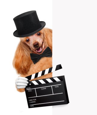 Film clapper kurulu Direktörü köpek.