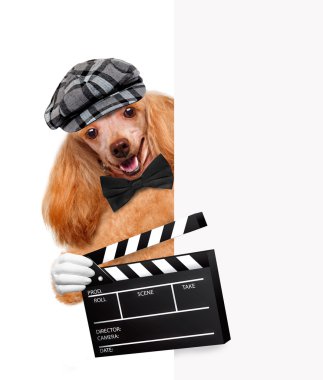 Film clapper kurulu Direktörü köpek.