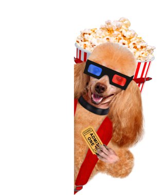köpek film izleme