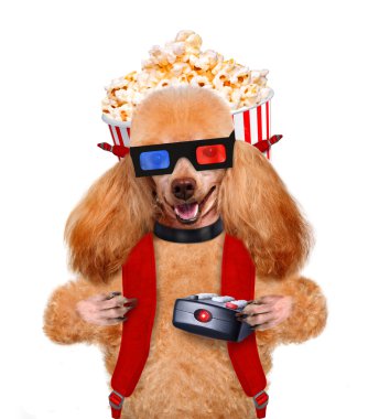 köpek film izleme