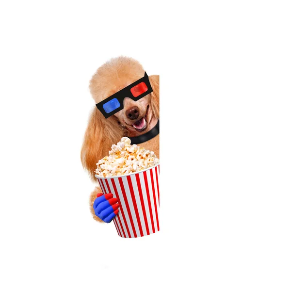 Hund beim Filmgucken — Stockfoto