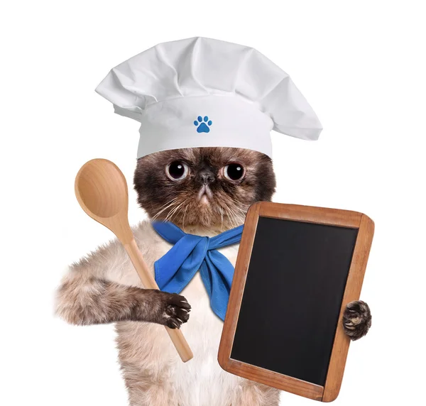 Cat chef. — Stock Photo, Image
