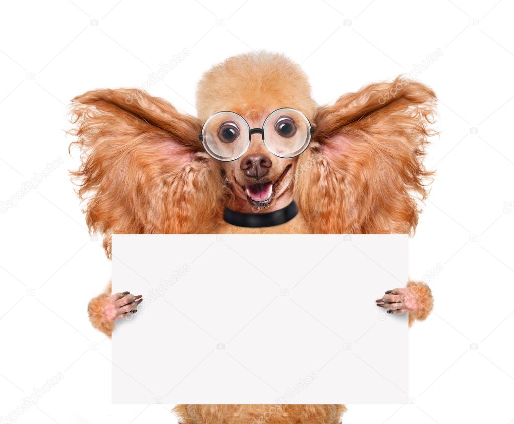 RasulovS