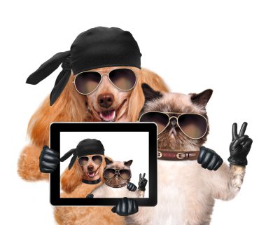 selfie ile birlikte bir tablet alarak kedi ile köpek