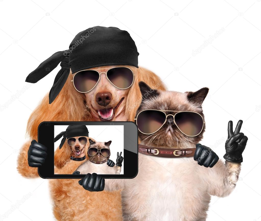 Dog with cat taking a selfie together with a tablet
