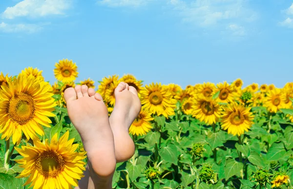 Frauenfüße in Sonnenblumen. — Stockfoto