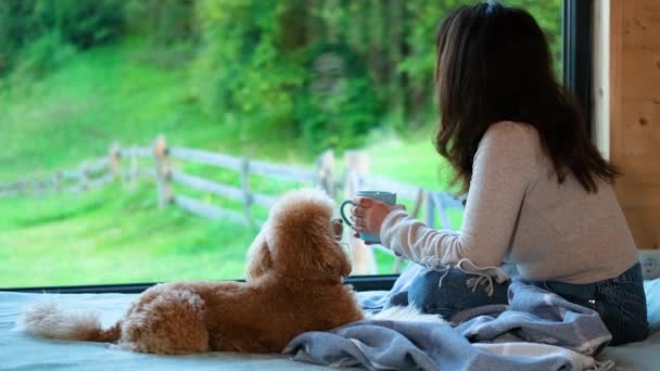 女人和她的狗坐在床上 看着窗外的一座山 喝茶或喝咖啡的女人 — 图库视频影像