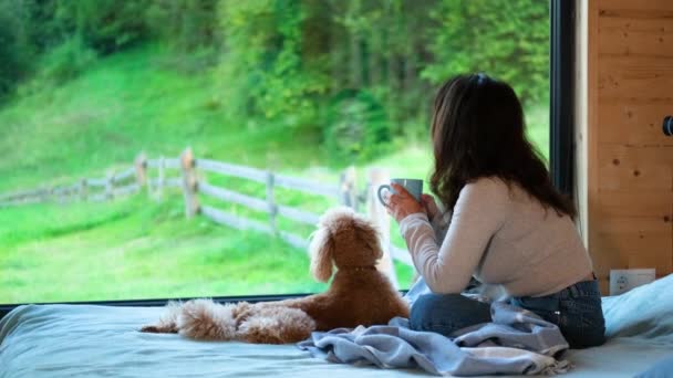 Woman Sitting Her Dog Bed Looks Window Seeing Mountain Woman — Stock Video