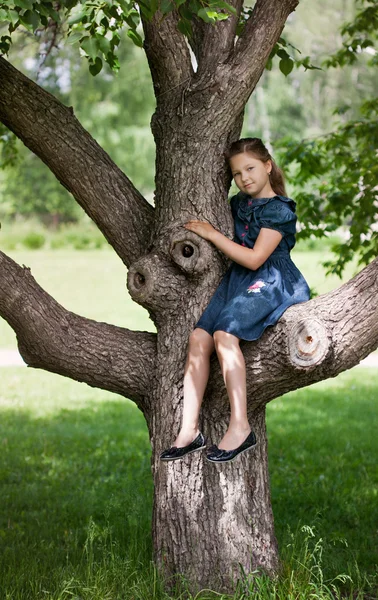 Kız bir ağaçta oturuyor — Stok fotoğraf