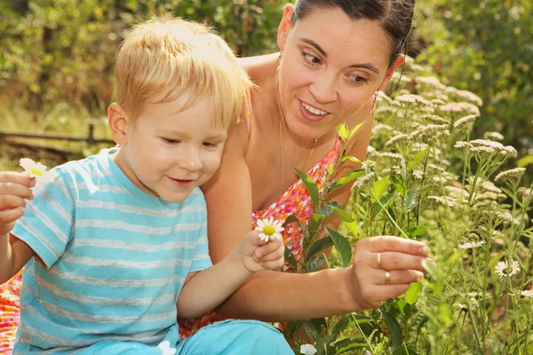 Жінка з маленьким сином захоплюється ромашками — стокове фото