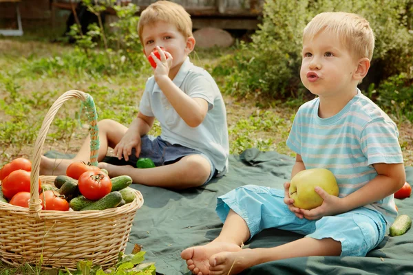 Niños con verduras y frutas — Foto de Stock