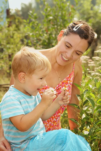 Mujer y pequeño hijo admira margaritas — Foto de Stock