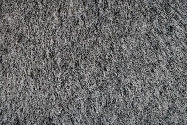 动物的灰色皮毛纹理 — 图库照片