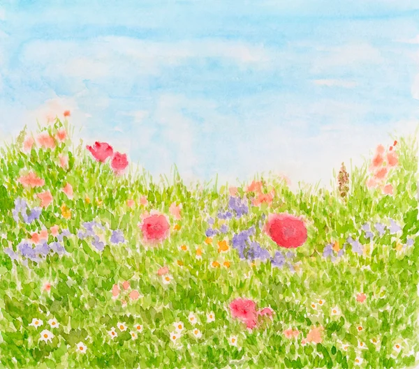夏时制草甸、 水彩夏季花卉画 — 图库照片