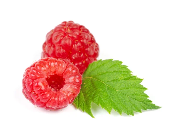 Red Ripe Raspberry with Green Leaf — Stock Photo, Image