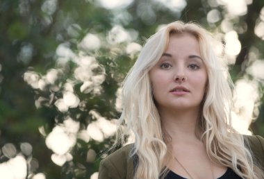 bokeh ağaç arka planda