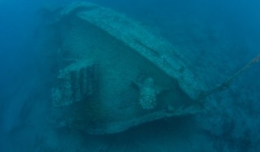 florida Keys sualtı