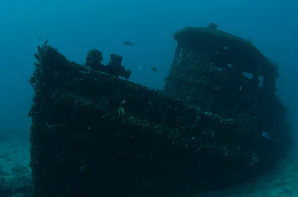 Images prises à une certaine profondeur sous l'eau — Photo