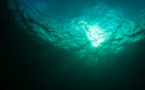 どのような水中風景のように見える — ストック写真