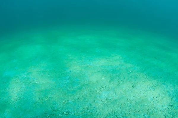 Wie Unterwasserlandschaft aussieht — Stockfoto