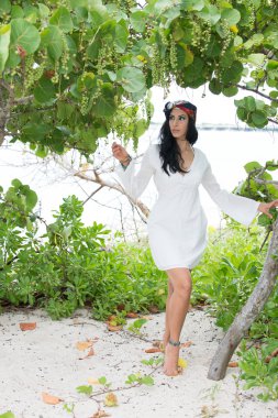 Güney Florida Beach lifestyle Tema