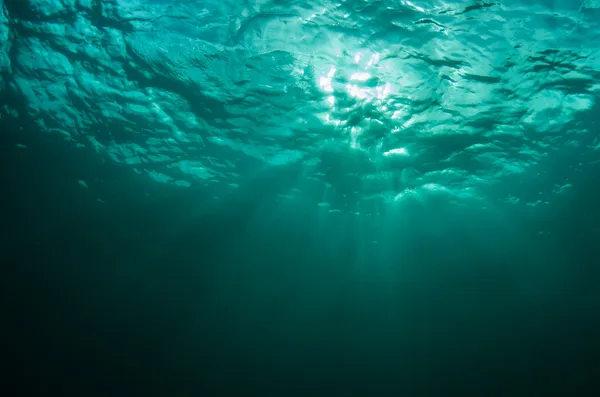 Che aspetto ha il paesaggio subacqueo — Foto Stock