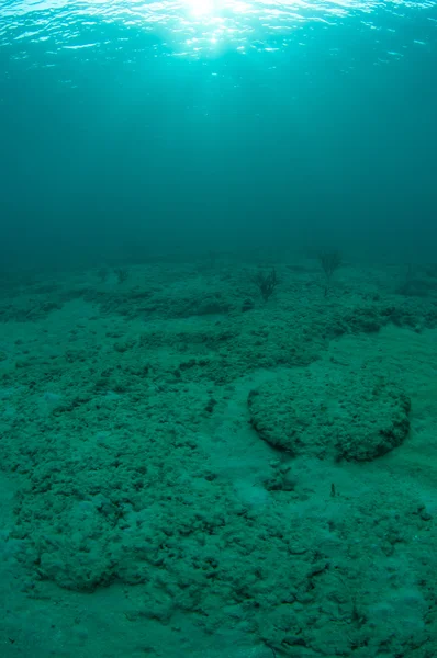 Aspecto del paisaje submarino . —  Fotos de Stock