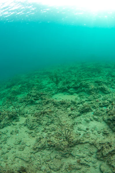 What Underwater landscape looks like. — Stock Photo, Image