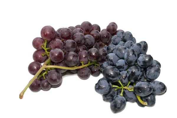 Two clusters of grapes, dark and pink. — Stock Photo, Image