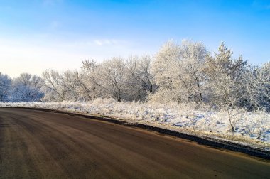 yol ve hoarfrost 3 ağaçların kış