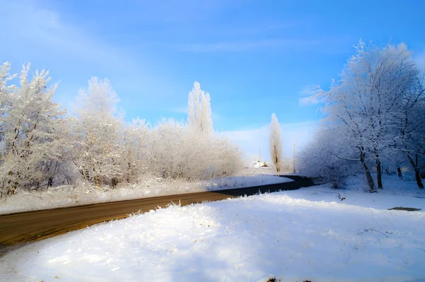 Winter way and trees in hoarfrost 2 — Stock Photo, Image