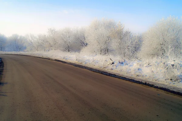 Winter way and trees in hoarfrost 4 — Stock Photo, Image