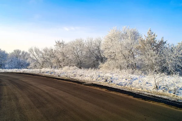 Winterweg und Bäume im Raureif 3 lizenzfreie Stockfotos