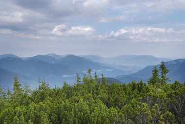 Karpatlar'ın dağ manzarası