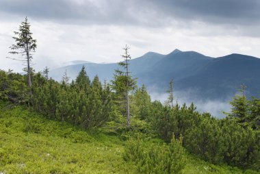 Karpatlar'ın dağ manzarası