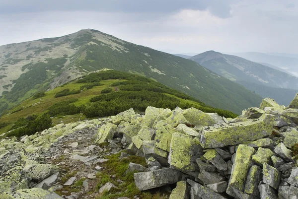 Bergslandskapet i Karpaterna — Stockfoto