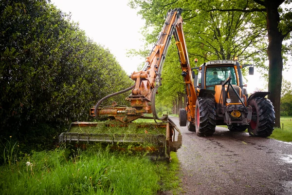 Klippa gräs axel — Stockfoto