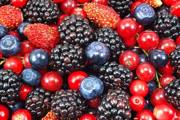 Different fresh berries as background — Stock Photo, Image