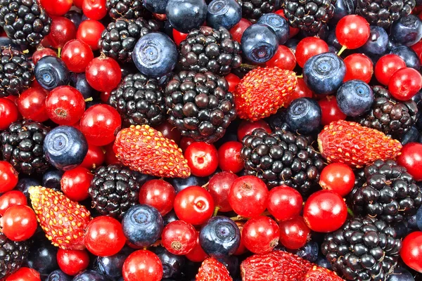 Different fresh berries — Stock Photo, Image