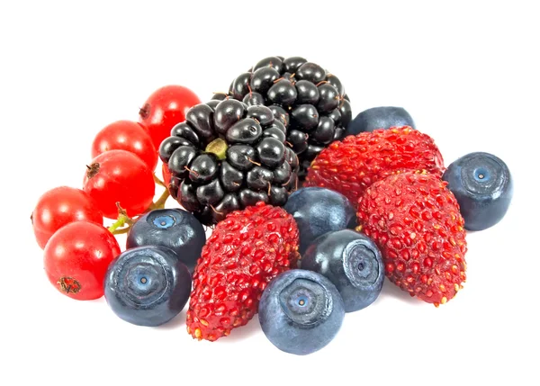 Verschiedene frische Beeren — Stockfoto